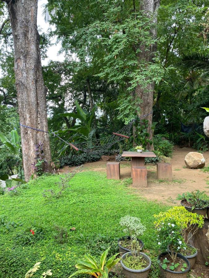 Pearl'S Homestay Matale Eksteriør billede