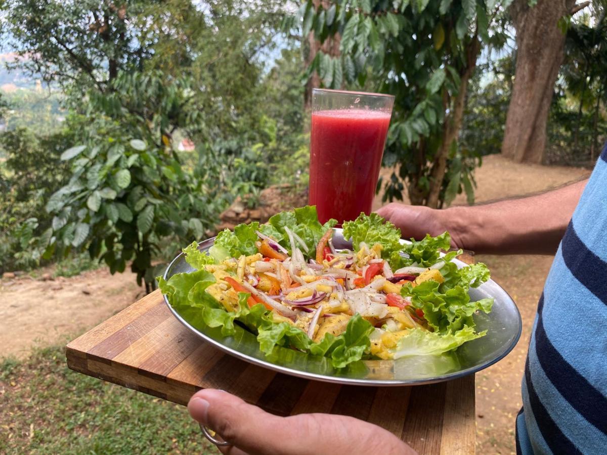 Pearl'S Homestay Matale Eksteriør billede