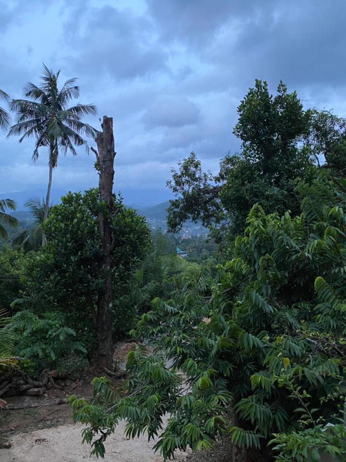 Pearl'S Homestay Matale Eksteriør billede