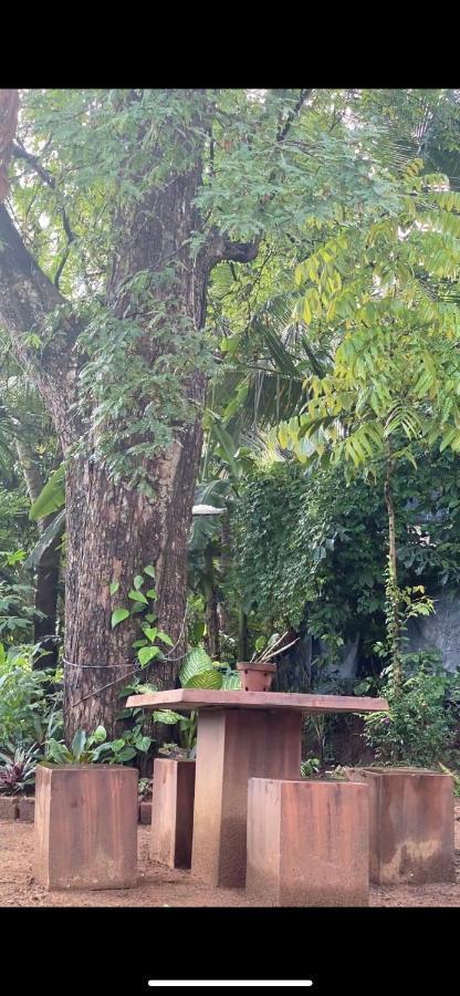 Pearl'S Homestay Matale Eksteriør billede