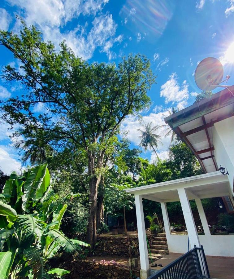 Pearl'S Homestay Matale Eksteriør billede